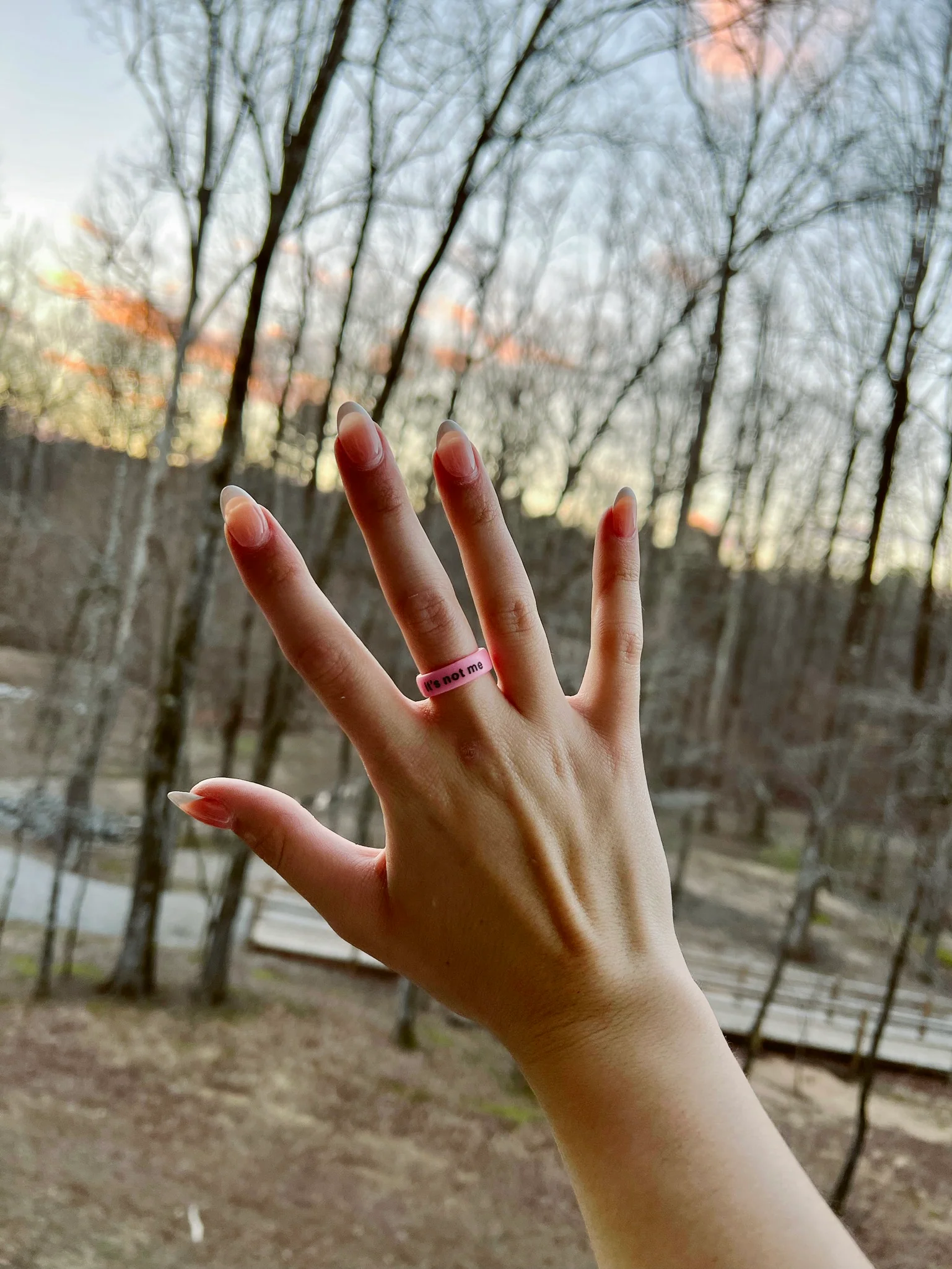 Flip Reversible it's not me / it's you Ring - Image 7