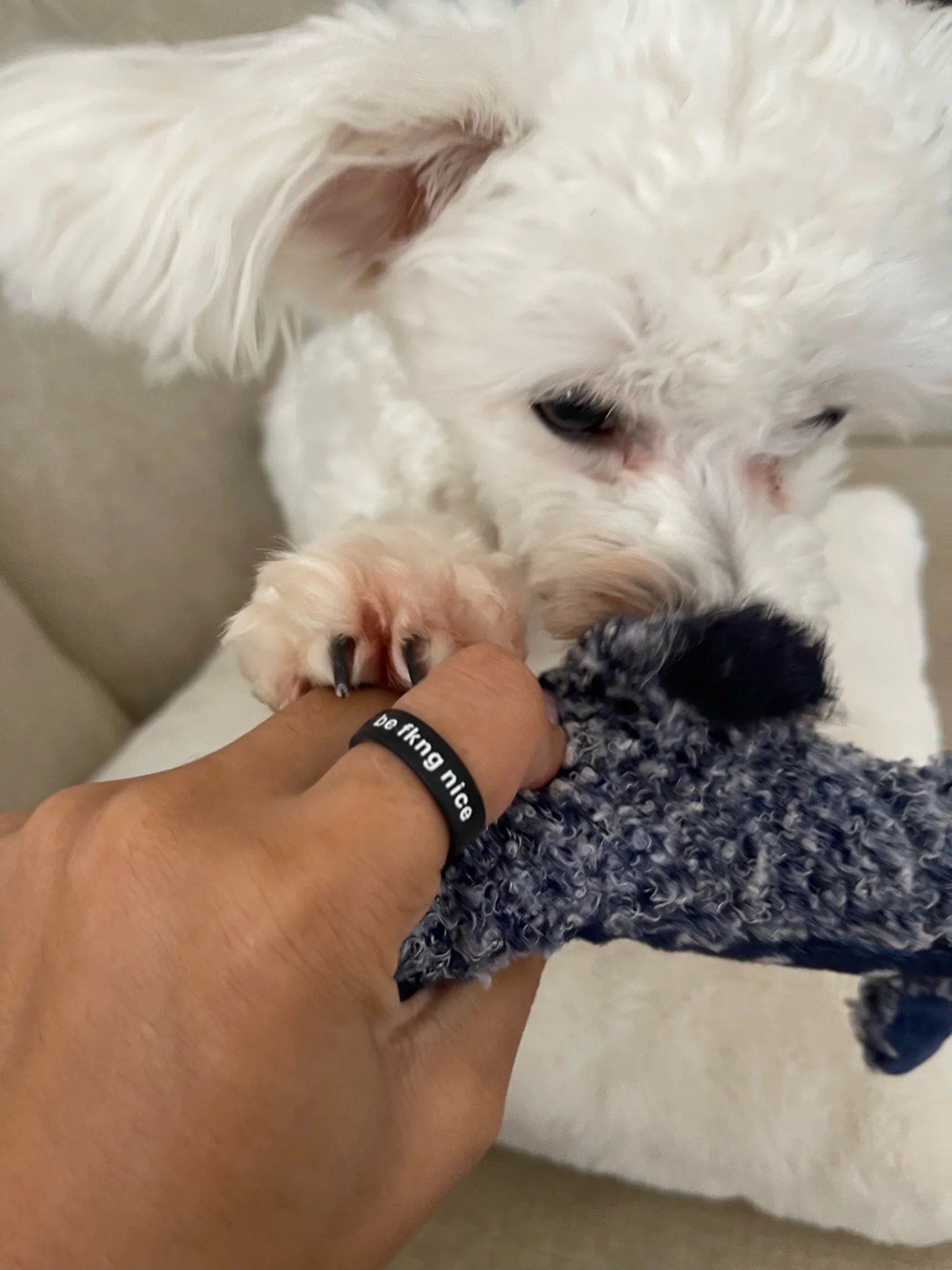 Flip Reversible be fkng nice / always Ring - Image 9