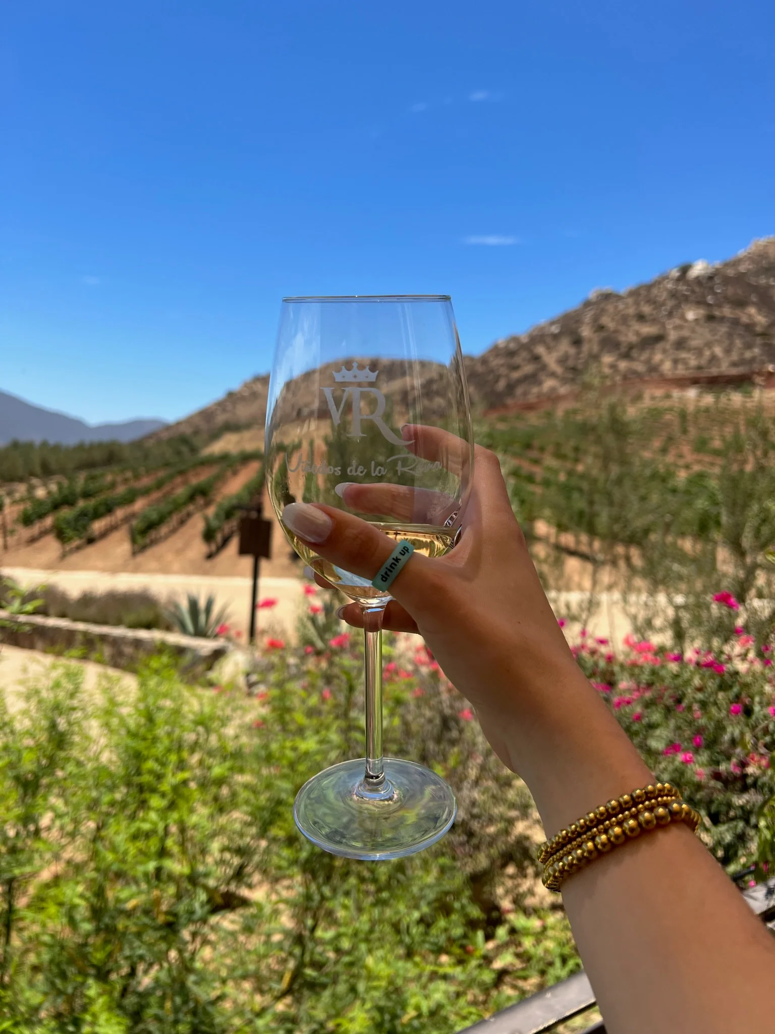 Flip Reversible drink up / hungover turquoise Rings - Image 21