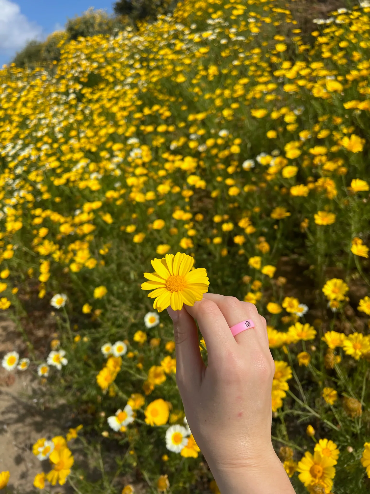 Reversible Flip Flower Power Pink Ring - Image 22