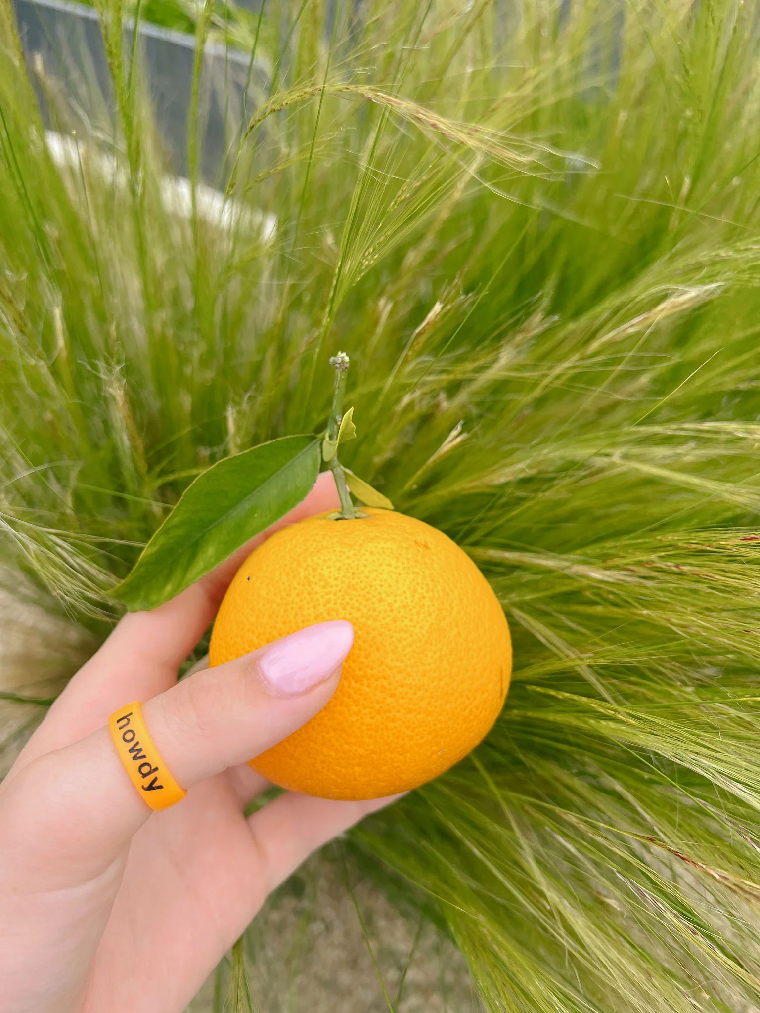 Flip Reversible howdy / y'all Ring - Image 13