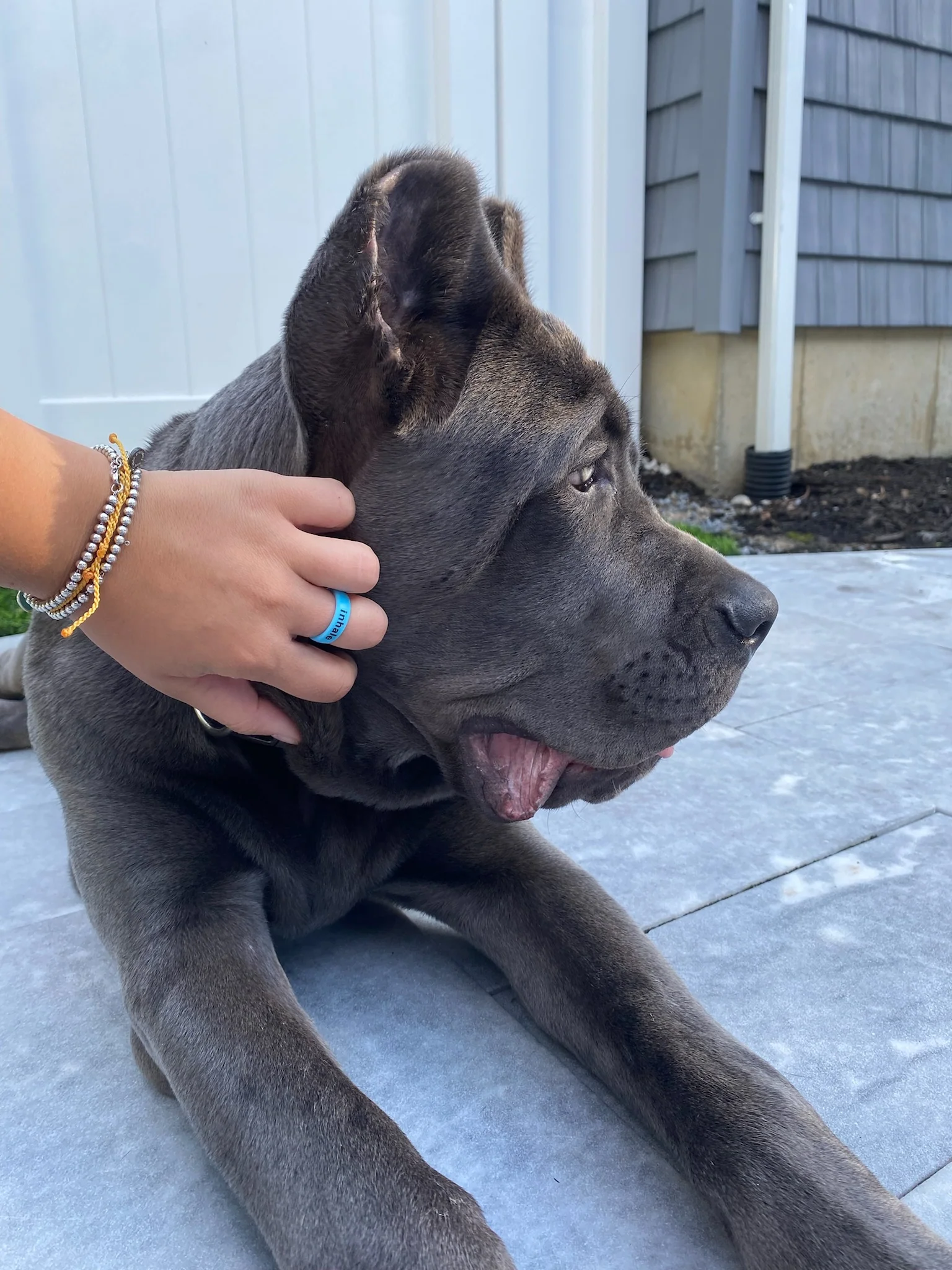 Flip Reversible inhale / exhale ring - Image 4